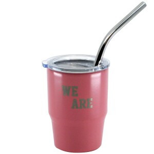 pink mini tumbler with lid, straw, and etched We Are